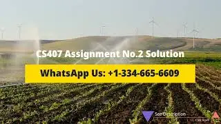 CS407 Assignment No 2 Solution 2022 | CS407 Assignment 2 Solution Spring 2022