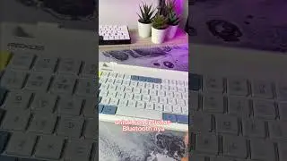 Dual Connection Keyboard - REXUS MOSAIC KB01