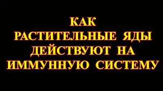 Ответы на вопросы №37. Как растительные яды действуют на иммунную систему.