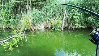 ОН ВСПЛЫЛ и схватил КОРКУ ХЛЕБА, УДОЧКА на ПРЕДЕЛЕ от ЭТИХ БОЛЬШИХ РЫБ. Рыбалка 2024