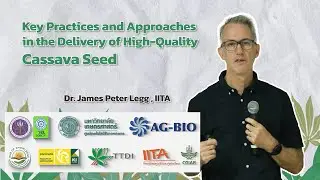 Key Practices and Approaches in the Delivery of High-Quality Cassava Seed