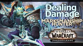 Dealing Damage In PVP As MM Hunter Shadowlands | A Journey | Vlog