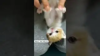 #amzing