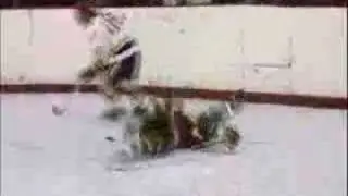 The greatest shift ever in hockey history