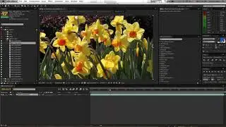 Tutorial: Great Thinkers Quotes and Titles by MotionRevolver for Adobe After Effects