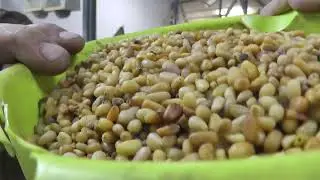 Кедровый орешек