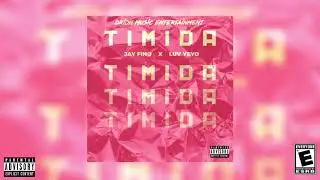 Timida - Luv Sai x Luv Yeyo (Prod. Yung Panda Beatz)  [Audio Oficial]