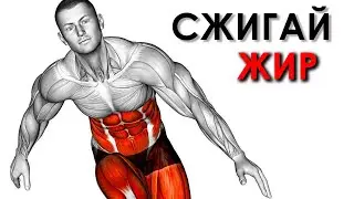 5 Минутные Кардио Упражнения для Сжигания Жира