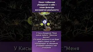 У каждого своя реальность... 