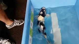 17 June 2018