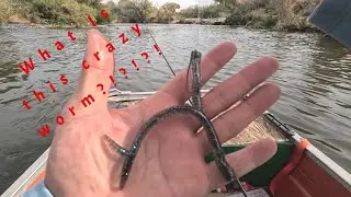 What is this crazy worm and how do I fish it?!?!?!