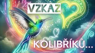 ‼️KDO VÁM JI VZAL❓️VZKAZ KOLIBŘÍKŮ...