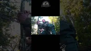Первый налет гусей, охота на болоте. 