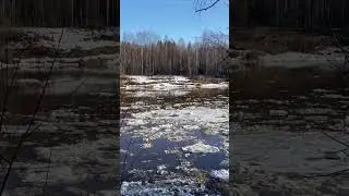 Ледоход на Устье