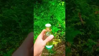 papper vs bottle|Easy science expirement |simple science expirement 
