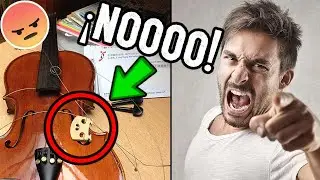10 COSAS QUE ODIAMOS LOS VIOLINISTAS