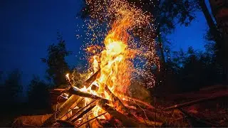 Forest Fire - Lvly feat  Frigga | Pop Music