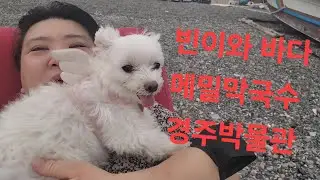 복부인 빈이와 바다# 메밀막국수 #경주박물관