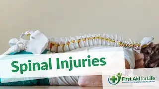 Spinal Injuries