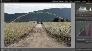 Eliminar dominante verdosa con curva de tonos en Lightroom y Photoshop