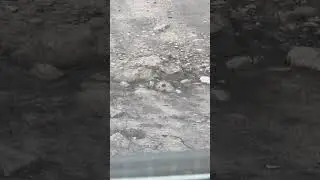 ALIEN’S HEAD DETECTED! В ГАРАЖАХ ГОЛОВА ОТ ПРИШЕЛЬЦА ВАЛЯЕТСЯ!