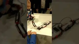 Кровожадная змея роботы#2