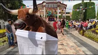 DANZA DEL TORITO "El Tigre" | Silao, Guanajuato; México