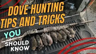 DOVE HUNTING TIPS and TRICKS you should know!