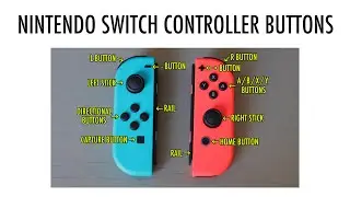 Nintendo Switch Button Names (Joy-Con Button Layout) 