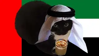 🇦🇪 maksiwil alqatu 🇦🇪