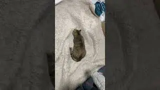 무무는 누굴 보고있을까요? (220207) [동무티브이]