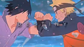 DESTINY 前途