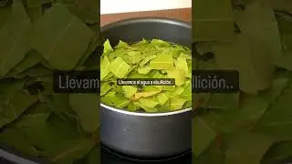 INSECTICIDA 100  veces + POTENTE que Otros!! 🐜