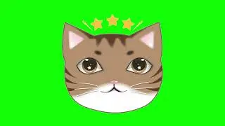 GREEN SCREEN CATS FREE FOR VIDEOS 123 - Green Screen Effects