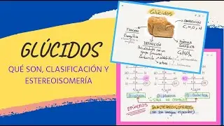 Glúcidos: Qué son, Clasificación y Estereoisomería