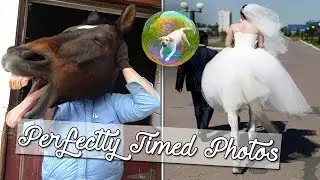 50 Most Perfectly Timed Photos Ever