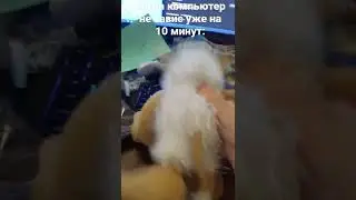 27 апреля 2022 г.