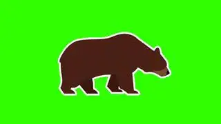 Green Screen Animation - 3D Bear (Green Screen animal cartoon )