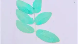 phyllotaxy|| Ncert podcast ||