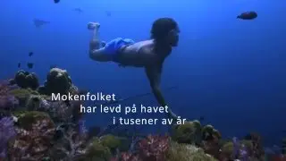 Det siste undervannsfolket (No Word for Worry) kommer på NRK!