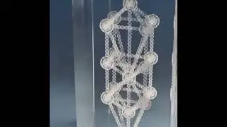 Подсвечник и Древо Жизни