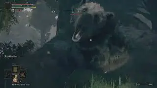 Elden Ring Bosses - EX Bear From Hell