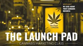 THC Launchpad Bonus: Why We're Giving Away THC Launchpad for Free