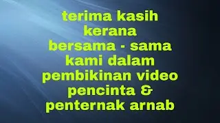 IMBASAN PENCINTA & PENTERNAK ARNAB