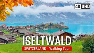 ISELTWALD Walking Tour 🇨🇭 Swiss Lake Brienz Autumn Walk 🍂 (4K 60fps)