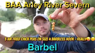 Could I catch a Barbel with 3 x Air Fried Chick Peas on a size 4 Barbless? 😧 (River Severn Arley)