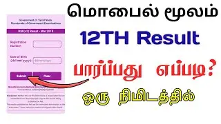12th Result Check 2023 | How to Check 12th Result 2023 in Mobile | TMM Tamilan