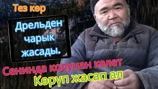 дрельден чарык жасады