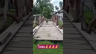ออกกำลัง กันครับ 