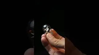 Zero Tiny Diorama 🎃 🐕 👻  